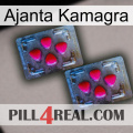 Ajanta Kamagra 14